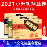 [友一个正版]2021小升初押题卷语文数学英语3本 68所名牌小学毕业升学冲刺必刷卷总复习模拟测试卷分类突破卷同步训练