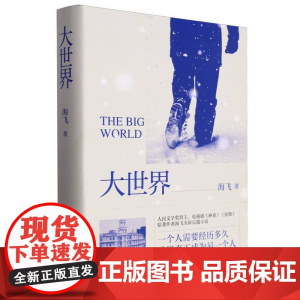 大世界(精) 人民文学奖得主海飞著 为无名英雄写书 这是一部孤独之书 也是一部希望之书 暗战特工悬疑谍战长篇小说正版书籍