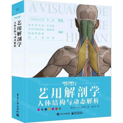 [N]艺用解剖学(人体结构与动态解析)(精)-9787121432767