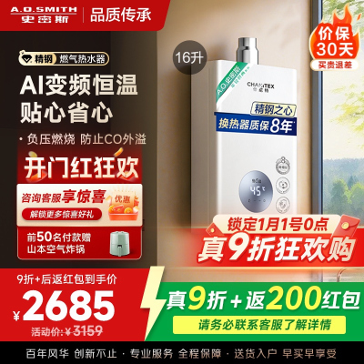 AO史密斯佳尼特16升燃气热水器佳尼特 不锈钢换热器8年包换 恒温大水量 抗风防冻 JSQ31-TC1