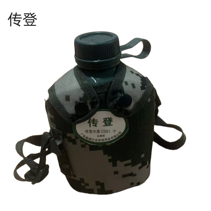 传登水壶 CD01 个