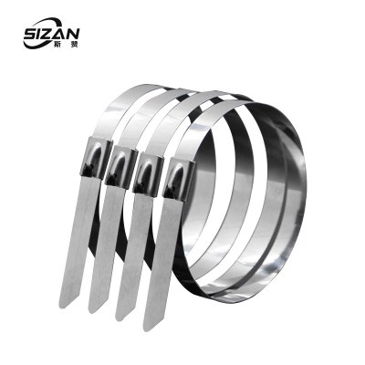 斯赞 304不锈钢扎带自锁式捆绑扎带 4.6*2300mm 100条/包