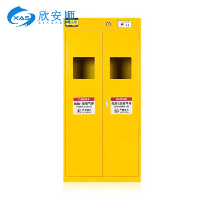 欣安顺 两瓶智能气瓶柜 900*450*1900mm 台