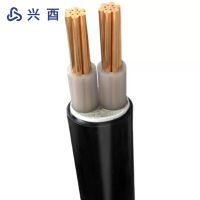 兴酉 铜芯电力电缆线 YJV2*25 米