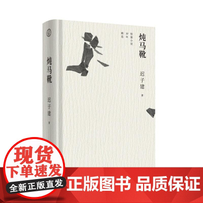 炖马靴短篇小说30年精选 迟子建广西师范大学出版社