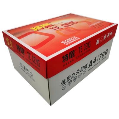 宣皇 特层打印纸a4多功能白纸草稿纸学生儿童用纸白色办公用品复印纸绘画纸 特层A4 70G 8包/箱