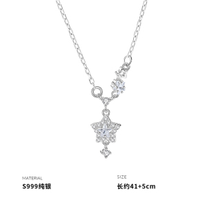 999纯银闪亮星星吊坠轻奢项链女锁骨链个性小众设计配饰送女朋友老婆情人节七夕生日礼物 项链一条