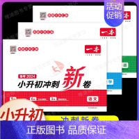 小升初冲刺新卷 语数英[套装3本] 小学升初中 [正版]2024版 小学毕业升学考卷大集结模拟试卷及真题精选 语文数学英