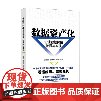 数据资产化 企业数据价值挖掘与实现 郑清元等 编著 管理