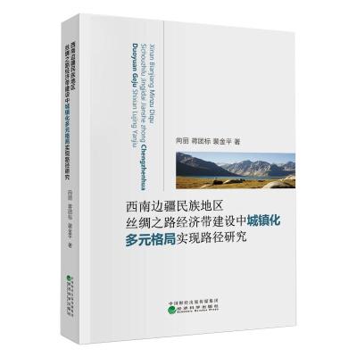 西南边疆民族地区丝绸之路经济带建设中城镇化多元格局实现路径研究