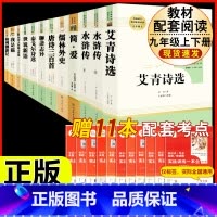 [人教版12册]九年级上下册名著 [正版]「九年级上册」聊斋志异 原着文言文人民教育出版社 初三初中生必读课外阅读书籍