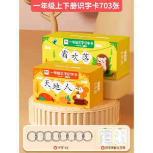 拼音卡片全套同步一年级上册汉语字母拼读训练表幼小衔接学习教具