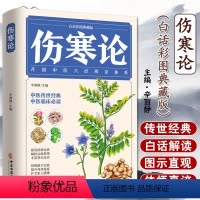 [正版]伤寒论张仲景伤寒杂病论选读本草纲目原版全套李时珍中医书籍大全