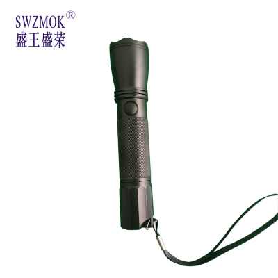 盛王盛荣 强光巡检电筒