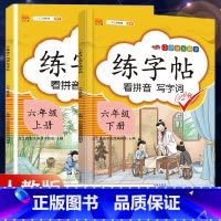 6年级》上册+下册 [正版]2023新版二年级下册同步练字帖三四五六年级一年级下册同步字帖人教版上册语文汉字生字本笔顺笔