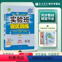 语文 七年级上 [正版]2023秋实验班提优训练七年级上册语文人教版中学教辅7年级同步课时训练习册初一资料辅导书期中期末