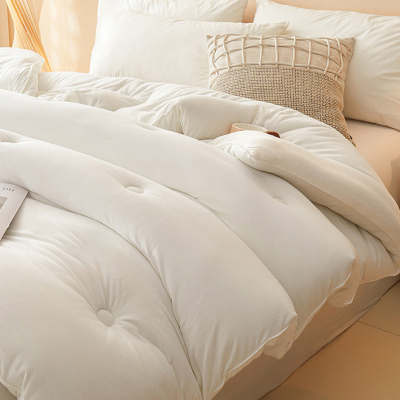 莱依瑾LYEEGIN 被子 A类大豆被 200*230cm8斤 张