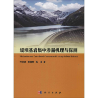 醉染图书堤坝基岩集中渗漏机理与探测97870306164