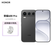 荣耀600 Pro 12GB 256GB