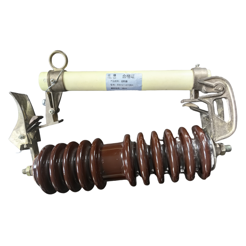 廷穗(TINGSUI)熔断器RW12-12/100A组