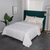 华人情思 蚕丝木棉蛋白被 200*230cm BD160/套