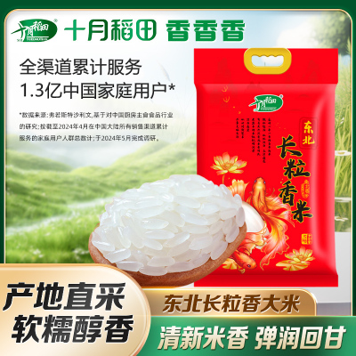 十月稻田辽河长粒香大米5kg东北大米粳米香米10斤真空包装