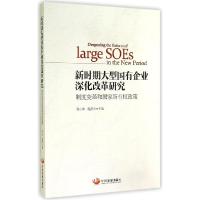 正版新书]新时期大型国有企业深化改革研究:制度变革和国家所有