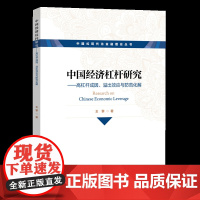 中国经济杠杆研究:高杠杆成因、溢出效应与防范化解王擎著中国经济/中国经济史中国金融出版社凤凰店