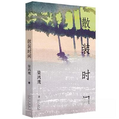 正版新书]散装时间梁鸿鹰9787530222171
