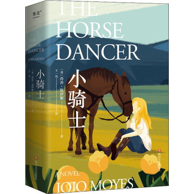 醉染图书小骑士9787541162930