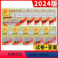 2024中考模拟卷[全套10册]语数英物化 试卷+答案 九年级/初中三年级 [正版]2024灿烂在六月上海中考真卷语文数