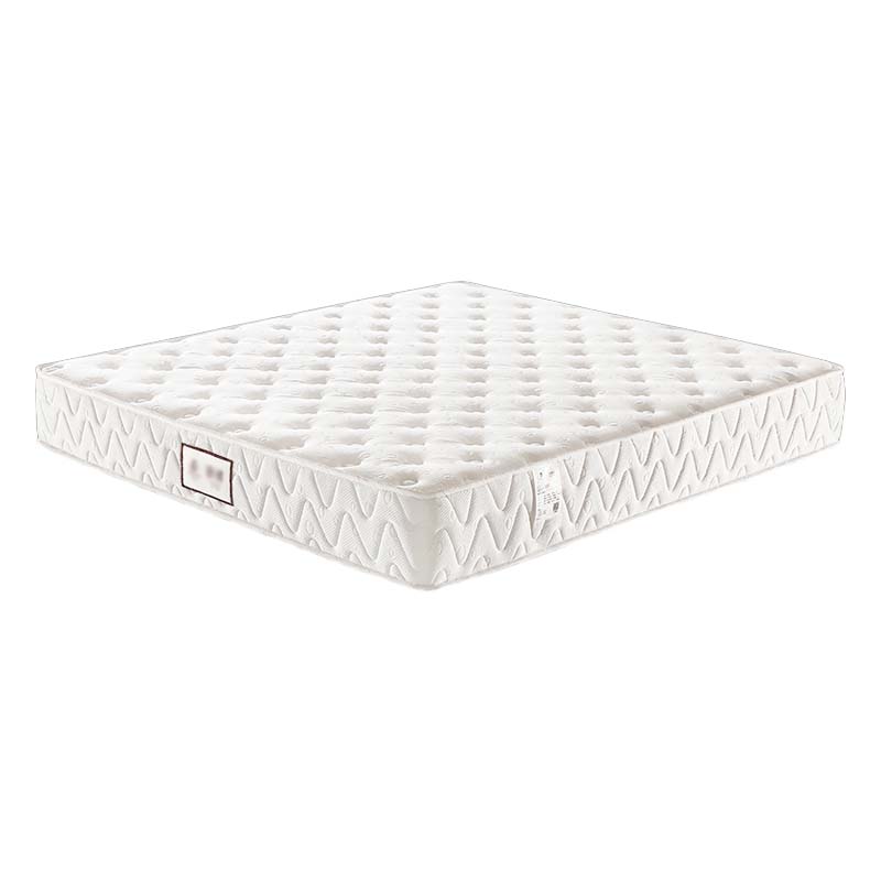 鑫升顺压缩卷包床垫席梦思独立弹簧天然乳胶超软折叠C款/厚约22cm[天然乳胶+独立布袋簧]适中舒适