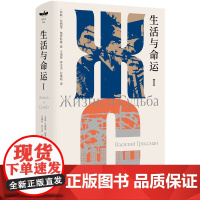 生活与命运 独木舟译丛 格罗斯曼 著 小说