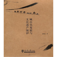 正版新书]城市化发展与文化遗产保护单霁翔9787561823002