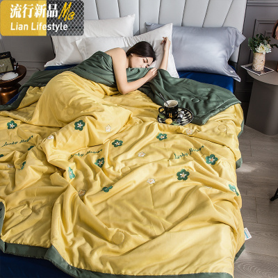 冰丝空调被夏被可水洗天丝单人双人刺绣莫代尔夏凉被夏季薄被子芯 三维工匠