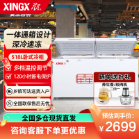 星星(XINGX) 518升商用大冷柜 家商两用 大冷冻力冰柜 断电保护 冷藏冷冻转换柜 BD/BC-528GE