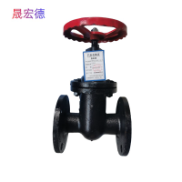 晟宏德 铸铁闸阀 法兰 DN40 个