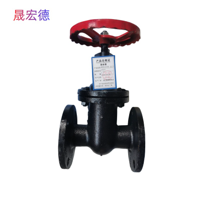 晟宏德 铸铁闸阀 法兰 DN40 个
