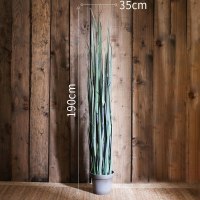 家柏饰(CORATED)洋葱盆景大型仿真植物绿植仿真树装饰摆件陈列布景道具 C竹节草灰盆大号