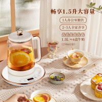 荣事达多功能养生壶纯钛发热盘YSH1592(NFC2.0)小型煮茶壶花茶烧水壶
