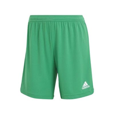 运动裤女款训练足球短裤速干透气可调节松紧休闲直筒短款