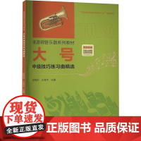 大号中级技巧练习曲9787569603705 胡炳余中央音乐学院出版社有限责任公司艺术 书籍