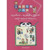 [M]汉维英图解小词典-9787100100892