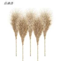 信森洛 户外竹扫把老枝无叶 4斤 1把