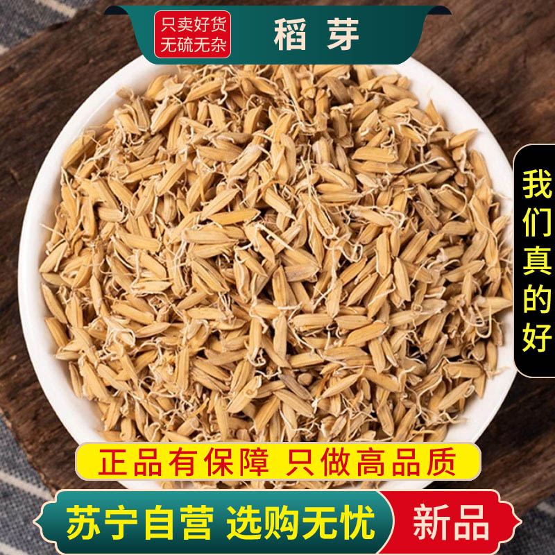 甄选稻芽100克干货新货正品生稻芽煮水泡茶蘖米稻蘖另售麦芽红枣