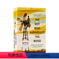 [正版]进口英文原版小说驭风少年The Boy Who Harnessed the Wind 美国前副总统阿尔戈尔