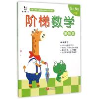 正版新书]阶梯数学(基础版5-6岁上下)真果果9787510136696