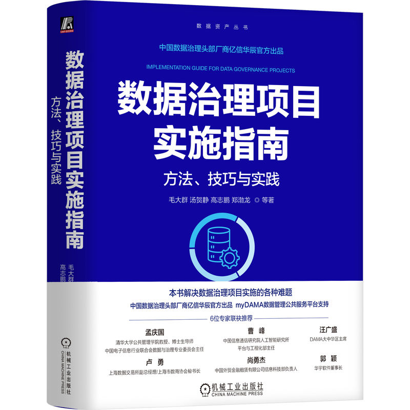 正版新书]数据治理项目实施指南:方法、技巧与实践毛大群 等 著