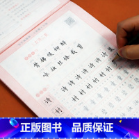写字课课练{上册+下册} 二年级上 [正版]二年级字帖练字同步人教版上册下册每日一练语文练字帖小学生钢笔字帖学生控笔训练