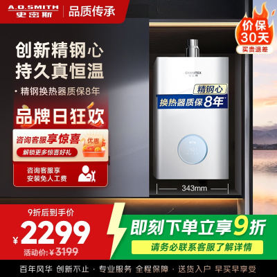 AO史密斯佳尼特13升燃气热水器佳尼特 小体积 不锈钢换热器8年包换 恒温大水量 抗风防冻 JSQ26-TCA1